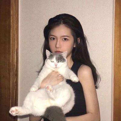 星梦想48手游破解版下载